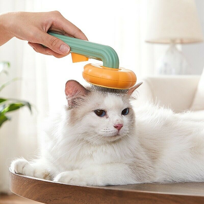 Pet Pumpkin Brush, Pet Grooming Self Cleaning Slicker Brush For Dogs Cats